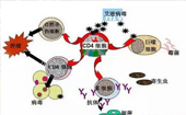 重新认识我们人类的健康